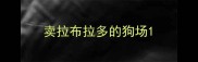 卖拉布拉多的狗场