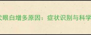拉布拉多犬眼白增多原因症状识别与科学护理指南