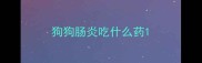 狗狗肠炎吃什么药