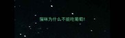 猫咪为什么不能吃葡萄
