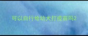 可以自行给幼犬打疫苗吗