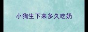 小狗生下来多久吃奶