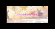 拉布拉多和金毛一起养