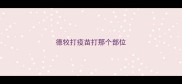 德牧打疫苗打那个部位