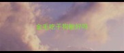 金毛吃干狗粮好吗