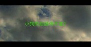 小狗的后腿伸不直
