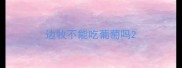 边牧不能吃葡萄吗