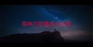 猫咪打喷嚏有点感冒
