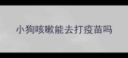 小狗咳嗽能去打疫苗吗