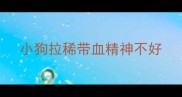 小狗拉稀带血精神不好
