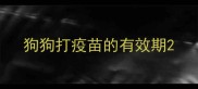 狗狗打疫苗的有效期