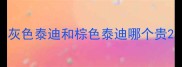 灰色泰迪和棕色泰迪哪个贵
