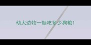 幼犬边牧一顿吃多少狗粮