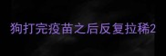 狗打完疫苗之后反复拉稀