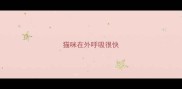 猫咪在外呼吸很快