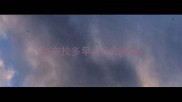 拉布拉多早上几点吃饭