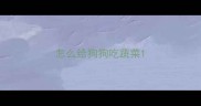 怎么给狗狗吃蔬菜