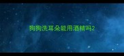 狗狗洗耳朵能用酒精吗