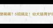 金毛幼犬便便稀稀5招搞定幼犬肠胃护理全攻略