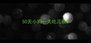 50天小狗一天吃几顿