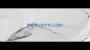 猫咪第二年打什么疫苗