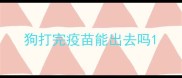 狗打完疫苗能出去吗