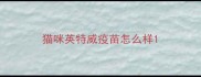 猫咪英特威疫苗怎么样