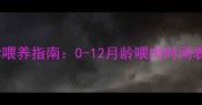 惠比特幼犬科学喂养指南0-12月龄喂肉时间表与营养配比全