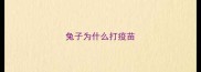 兔子为什么打疫苗