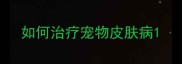 如何治疗宠物皮肤病