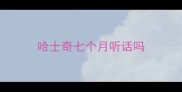 哈士奇七个月听话吗