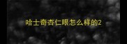 哈士奇杏仁眼怎么样的