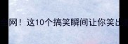 哈士奇表情包萌翻全网这10个搞笑瞬间让你笑出腹肌附高清图