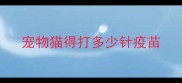 宠物猫得打多少针疫苗
