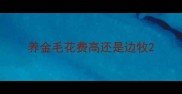 养金毛花费高还是边牧