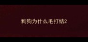 狗狗为什么毛打结