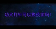 幼犬打针可以换疫苗吗