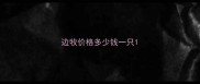 边牧价格多少钱一只