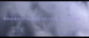 狗狗发烧的10个明显症状与应对方法附诊断流程图