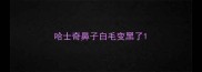 哈士奇鼻子白毛变黑了