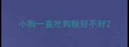 小狗一直吃狗粮好不好
