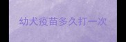 幼犬疫苗多久打一次
