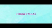 小狗被踩了怎么办