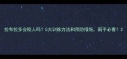拉布拉多会咬人吗5大训练方法和预防措施新手必看