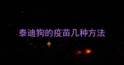 泰迪狗的疫苗几种方法