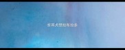 折耳犬想拉布拉多