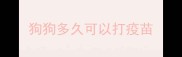 狗狗多久可以打疫苗