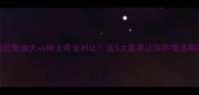 阿拉斯加犬vs哈士奇全对比这5大差异让你秒懂选狗指南
