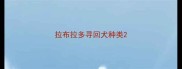 拉布拉多寻回犬种类
