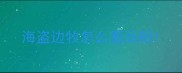 海盗边牧怎么看品相